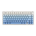 F75 Pro Gasket Mounted Wireless Gaming Mechanical Keyboard